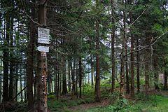 Przełęcz Jałowiecka Północna